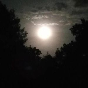 Meet your Posher, April